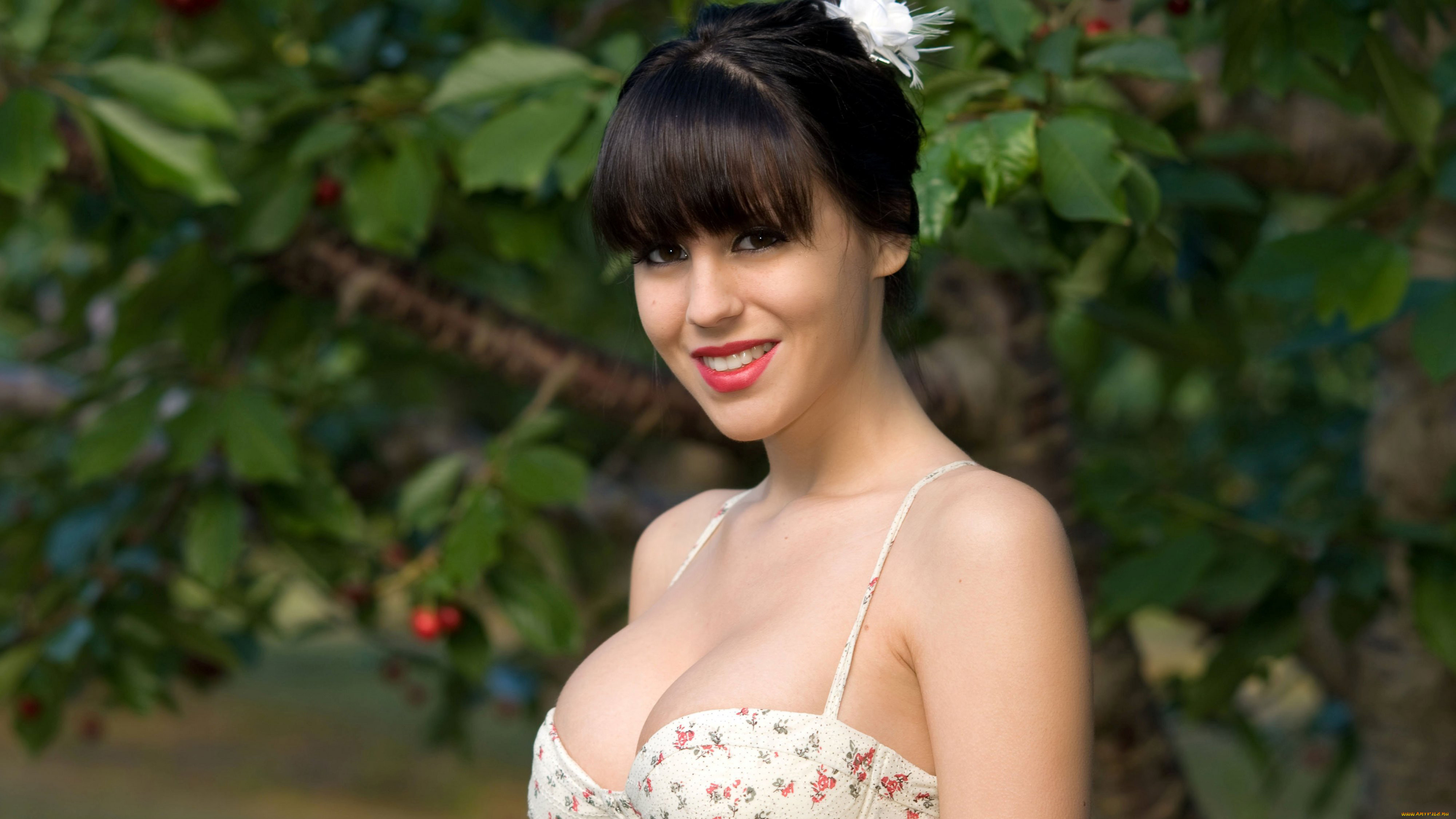 , bryci lea, bryci, lea